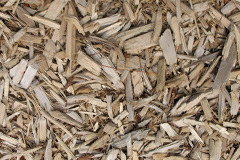 biomass boilers Maiden Law